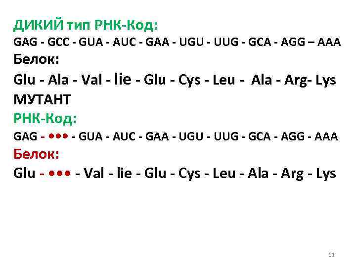 ДИКИЙ тип РНК Код: GAG GCC GUA AUC GAA UGU UUG GCA AGG –