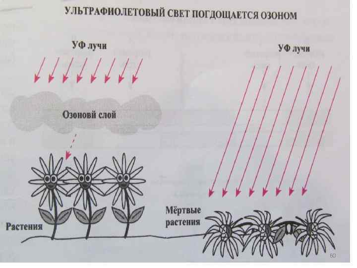 (РИС. Т 12. 26) 60 