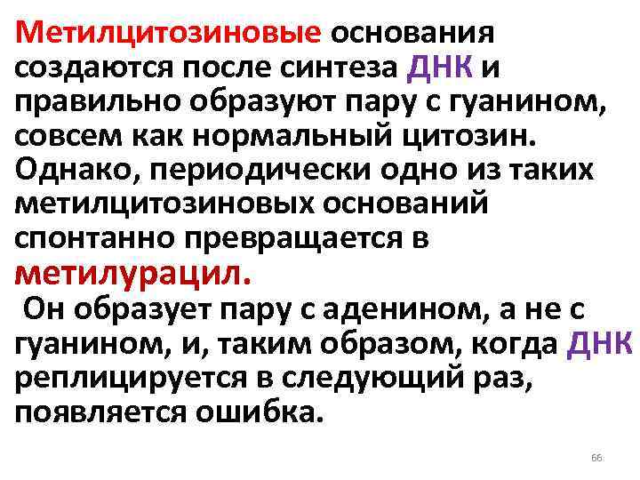 Метилцитозиновые основания создаются после синтеза ДНК и правильно образуют пару с гуанином, совсем как