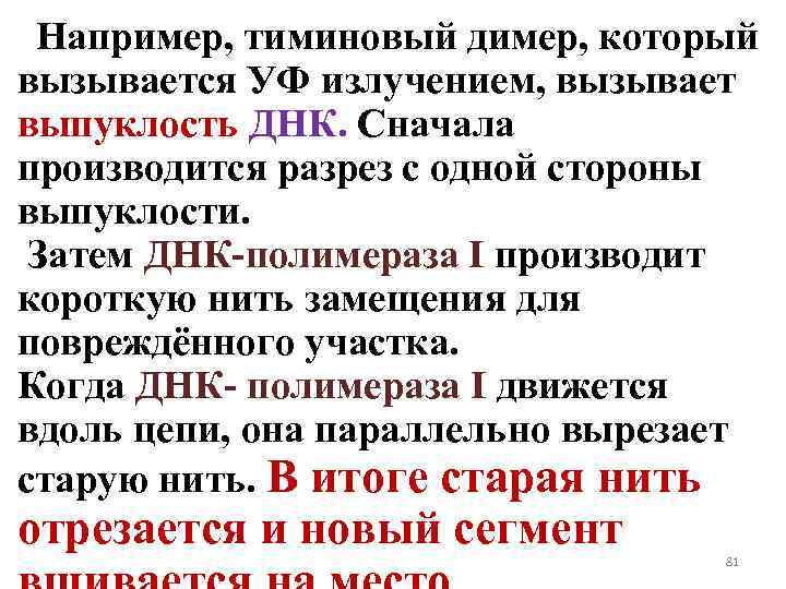 Например, тиминовый димер, который вызывается УФ излучением, вызывает выпуклость ДНК. Сначала производится разрез с