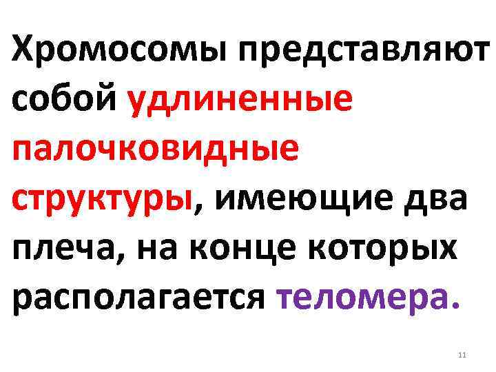 Хромосомы представляют собой удлиненные палочковидные структуры, имеющие два плеча, на конце которых располагается теломера.
