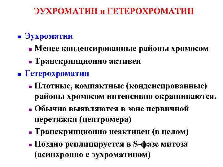 ЭУХРОМАТИН и ГЕТЕРОХРОМАТИН n n Эухроматин n Менее конденсированные районы хромосом n Транскрипционно активен