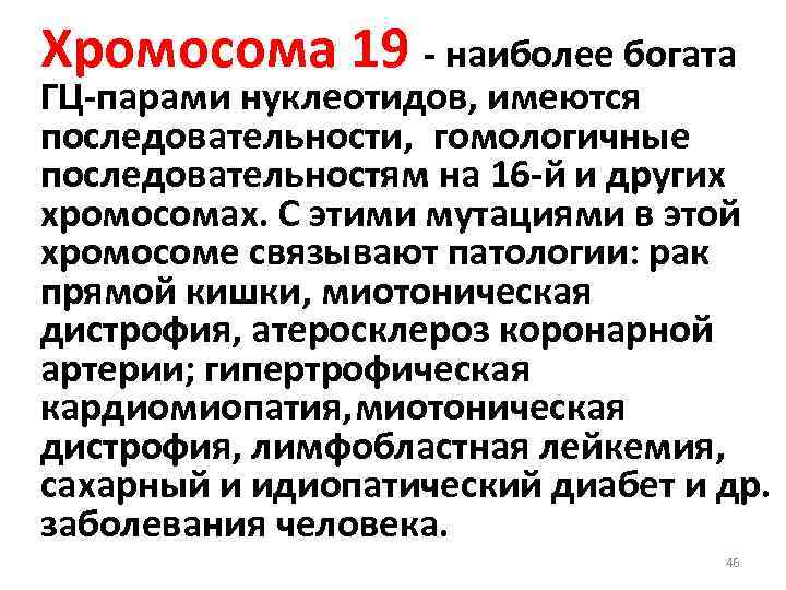 Хромосома 19 - наиболее богата ГЦ-парами нуклеотидов, имеются последовательности, гомологичные последовательностям на 16 -й