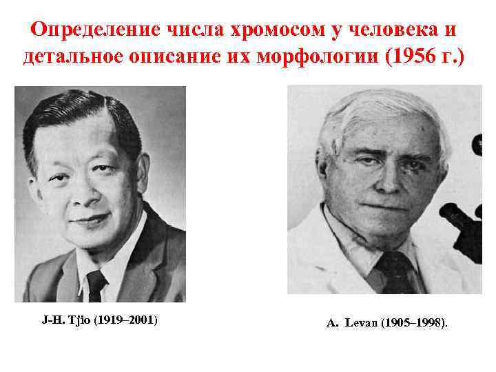 Определение числа хромосом у человека и детальное описание их морфологии (1956 г. ) J-H.