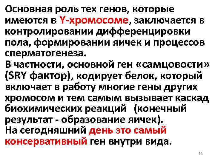 Основная роль тех генов, которые имеются в Y-хромосоме, заключается в контролировании дифференцировки пола, формировании