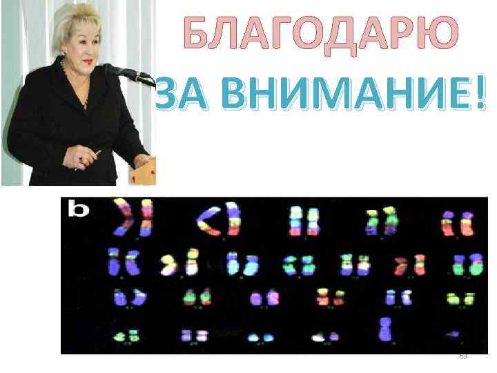 БЛАГОДАРЮ ЗА ВНИМАНИЕ! 63 