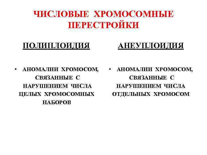 ЧИСЛОВЫЕ ХРОМОСОМНЫЕ ПЕРЕСТРОЙКИ ПОЛИПЛОИДИЯ АНЕУПЛОИДИЯ • АНОМАЛИИ ХРОМОСОМ, СВЯЗАННЫЕ С НАРУШЕНИЕМ ЧИСЛА ЦЕЛЫХ ХРОМОСОМНЫХ