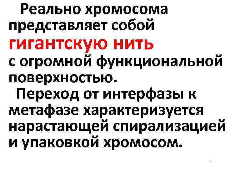  Реально хромосома представляет собой гигантскую нить с огромной функциональной поверхностью. Переход от интерфазы