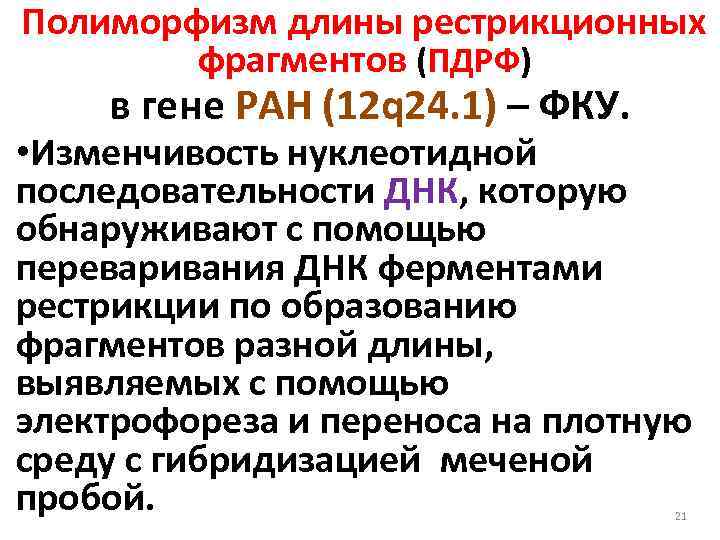 Полиморфизм длины рестрикционных фрагментов (ПДРФ) в гене РАН (12 q 24. 1) – ФКУ.