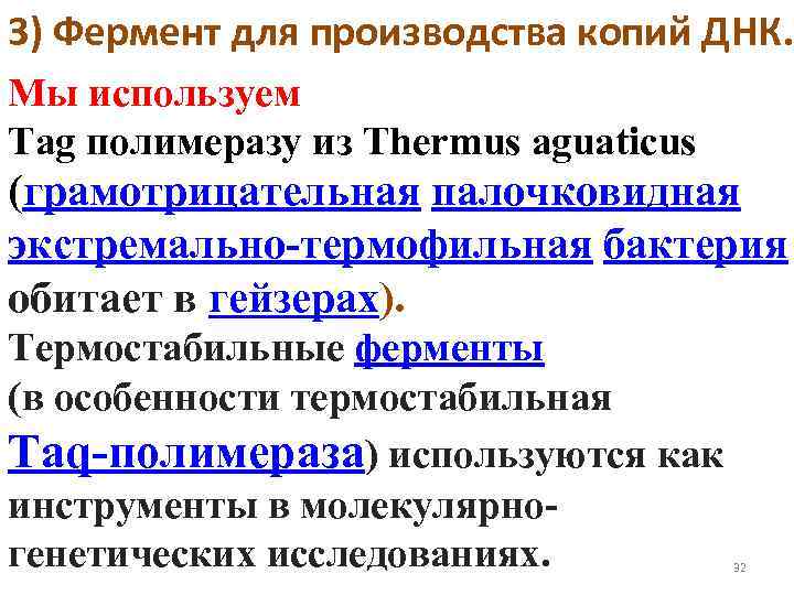 3) Фермент для производства копий ДНК. Мы используем Tag полимеразу из Thermus aguaticus (грамотрицательная