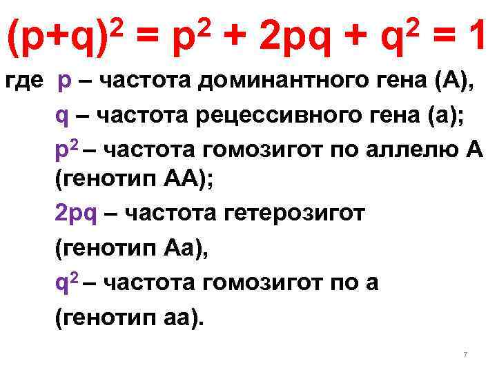 2 = p 2 + 2 pq + q 2 = 1 (p+q) где