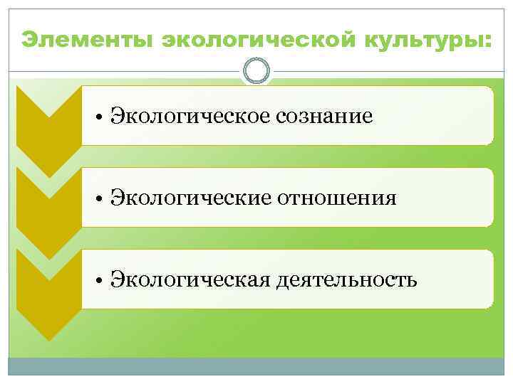 Элементы экологической культуры: • Экологическое сознание • Экологические отношения • Экологическая деятельность 