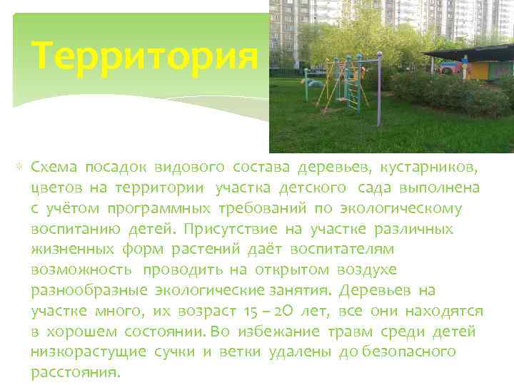 Территория Схема посадок видового состава деревьев, кустарников, цветов на территории участка детского сада выполнена