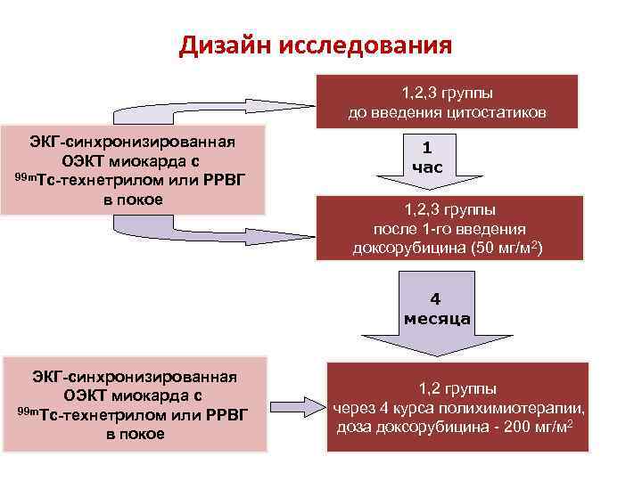 Дизайн исследования 1, 2, 3 группы до введения цитостатиков ЭКГ-синхронизированная ОЭКТ миокарда с 99