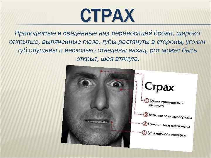 СТРАХ Приподнятые и сведенные над переносицей брови, широко открытые, выпяченные глаза, губы растянуты в