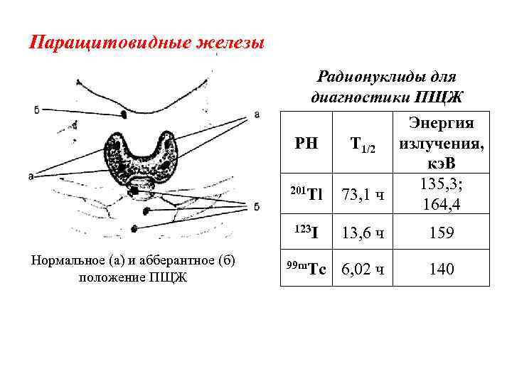 Паращитовидные железы Радионуклиды для диагностики ПЩЖ Энергия РН Т 1/2 излучения, кэ. В 135,