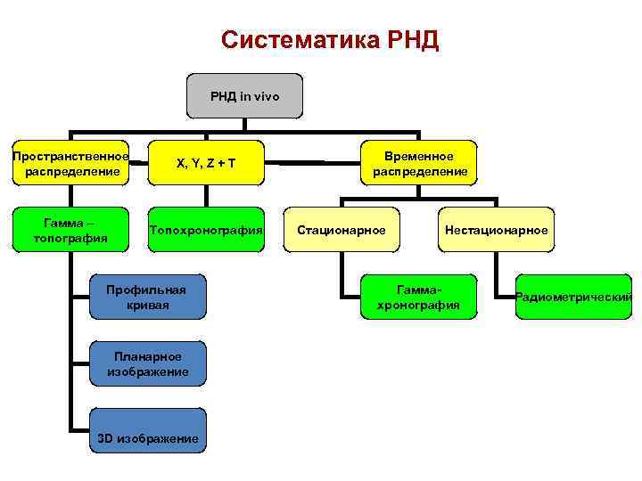 Систематика РНД in vivo Пространственное распределение X, Y, Z + T Гамма – топография