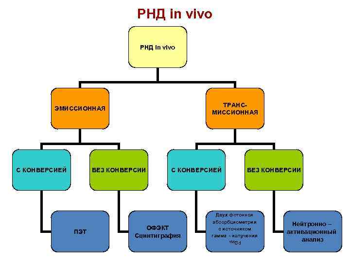 РНД in vivo ТРАНСМИССИОННАЯ ЭМИССИОННАЯ С КОНВЕРСИЕЙ БЕЗ КОНВЕРСИИ ПЭТ С КОНВЕРСИЕЙ ОФЭКТ Сцинтиграфия