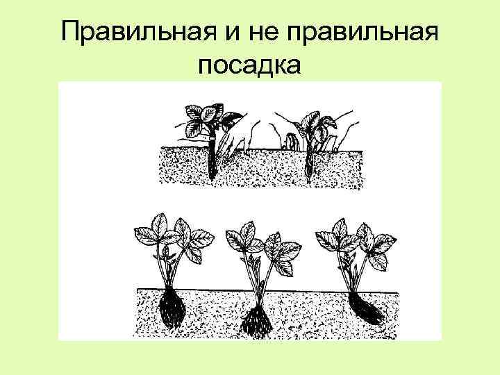 Правильная и не правильная посадка 