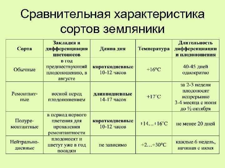 Сравнительная характеристика сортов земляники 