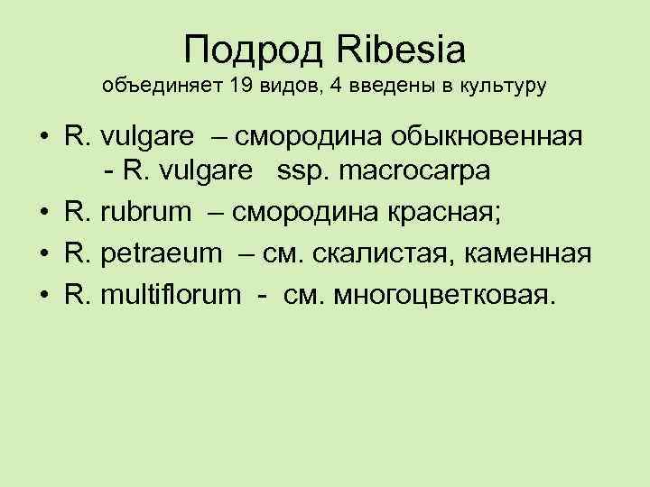 Подрод Ribesia объединяет 19 видов, 4 введены в культуру • R. vulgare – смородина