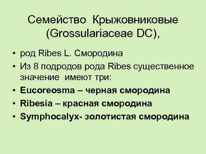 Семейство Крыжовниковые (Grossulariaceae DC), • род Ribes L. Смородина • Из 8 подродов рода