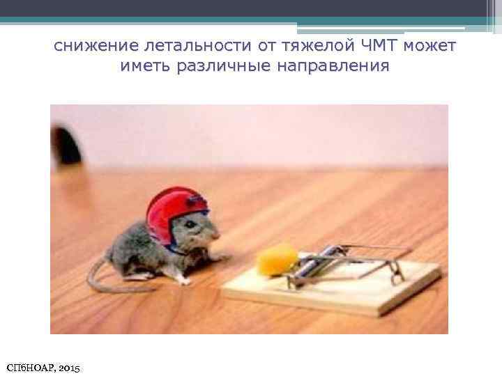 снижение летальности от тяжелой ЧМТ может иметь различные направления СПб. НОАР, 2015 