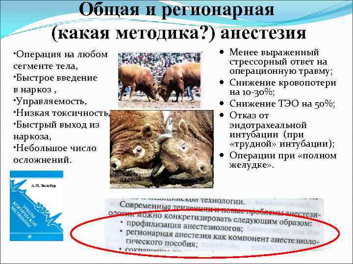 Общая и регионарная (какая методика? ) анестезия • Операция на любом сегменте тела, •