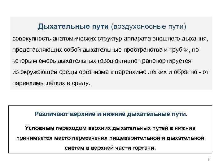  Дыхательные пути (воздухоносные пути) совокупность анатомических структур аппарата внешнего дыхания, представляющих собой дыхательные