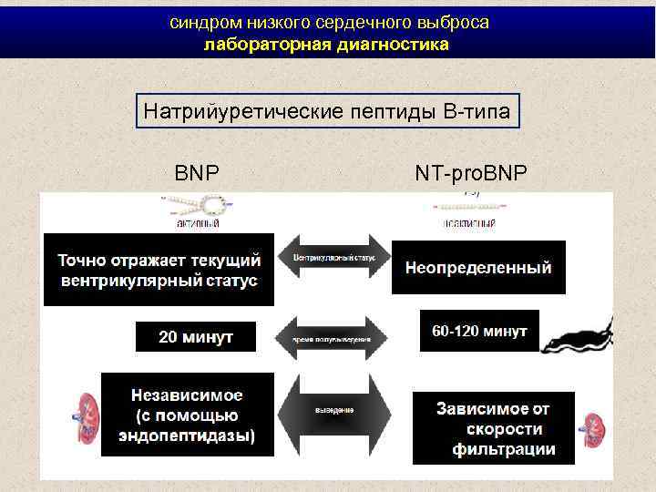  синдром низкого сердечного выброса лабораторная диагностика Натрийуретические пептиды В-типа BNP NT-pro. BNP 