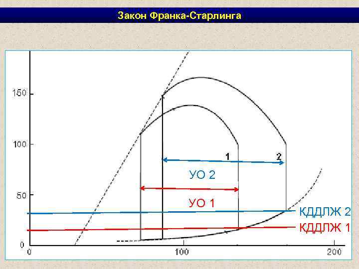 Закон Франка-Старлинга УО 2 УО 1 КДДЛЖ 2 КДДЛЖ 1 