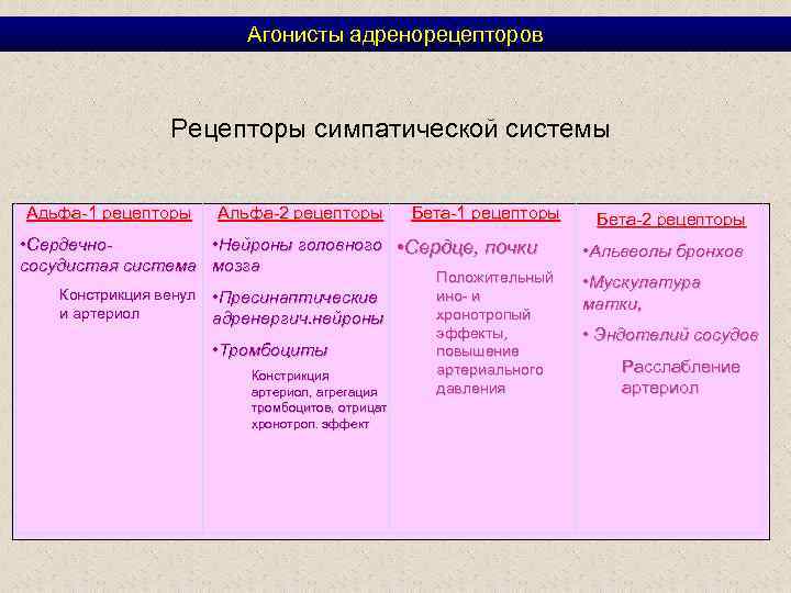 Агонисты адренорецепторов Рецепторы симпатической системы Адьфа-1 рецепторы Альфа-2 рецепторы Бета-1 рецепторы • Сердечно •