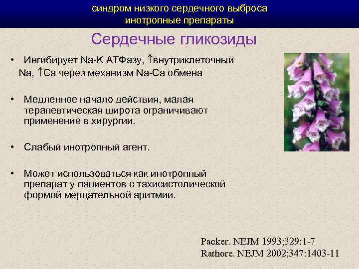 синдром низкого сердечного выброса инотропные препараты Сердечные гликозиды • Ингибирует Na-K АТФазу, внутриклеточный Na,