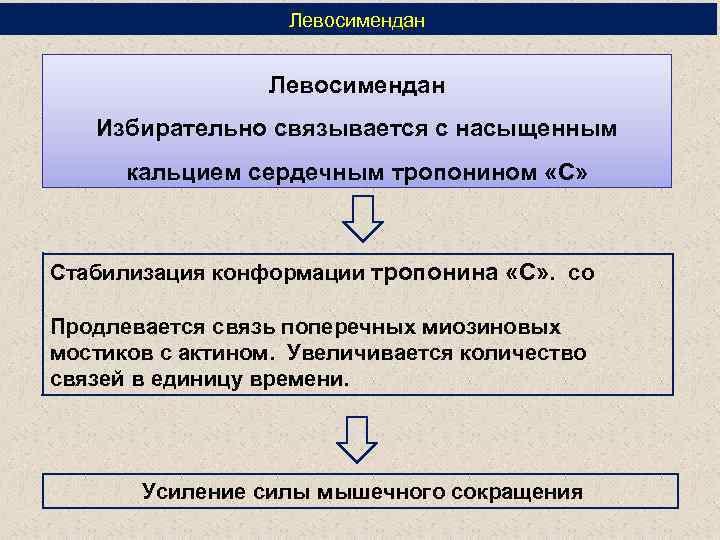 Левосимендан Избирательно связывается с насыщенным кальцием сердечным тропонином «С» Стабилизация конформации тропонина «С» .