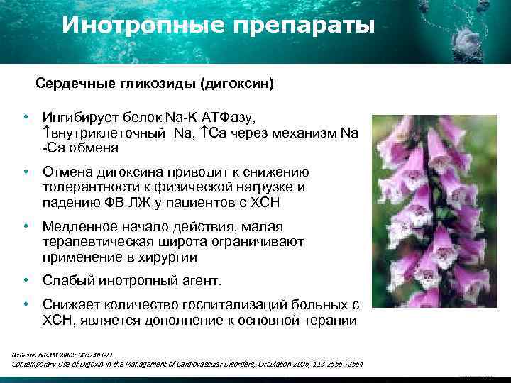 Инотропные препараты Сердечные гликозиды (дигоксин) • Ингибирует белок Na-K АТФазу, внутриклеточный Na, Ca через