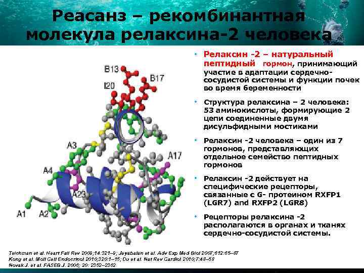 Реасанз – рекомбинантная молекула релаксина-2 человека Структура нативной и рекомбинантной • Релаксин -2 –