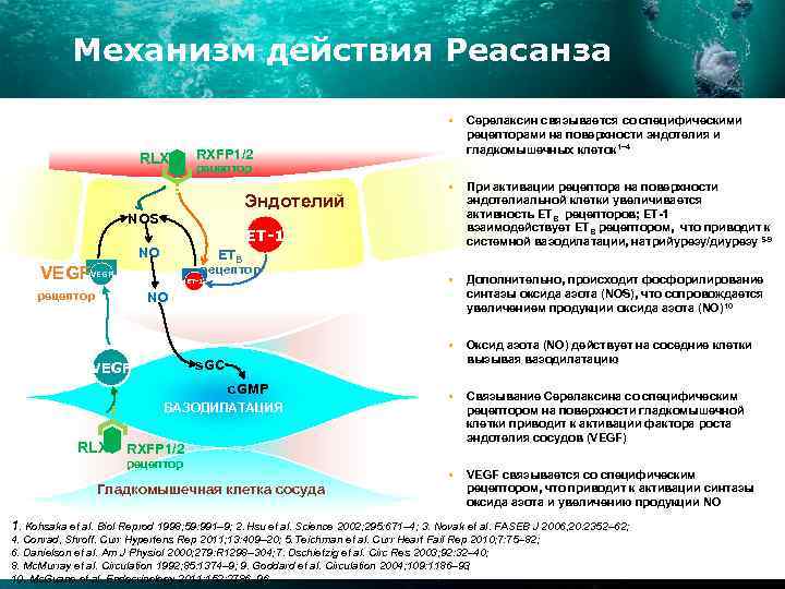 Механизм действия Реасанза § RLX RXFP 1/2 рецептор Эндотелий NOS ET-1 NO ETB рецептор