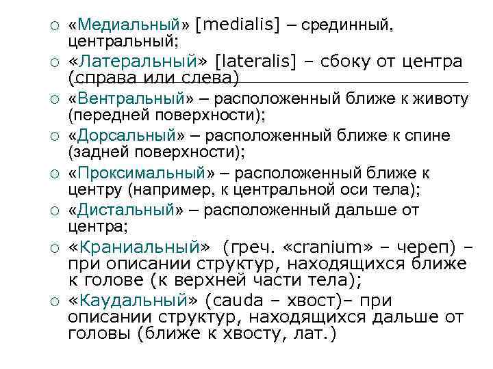  «Медиальный» [medialis] – срединный, центральный; «Латеральный» [lateralis] – сбоку от центра (справа или