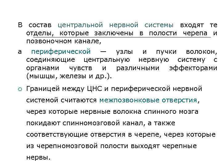 В состав центральной нервной системы входят те отделы, которые заключены в полости черепа и