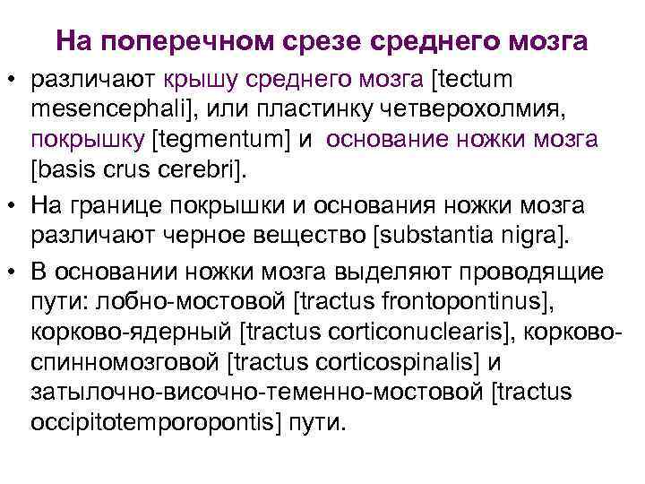 На поперечном срезе среднего мозга • различают крышу среднего мозга [tectum mesencephali], или пластинку