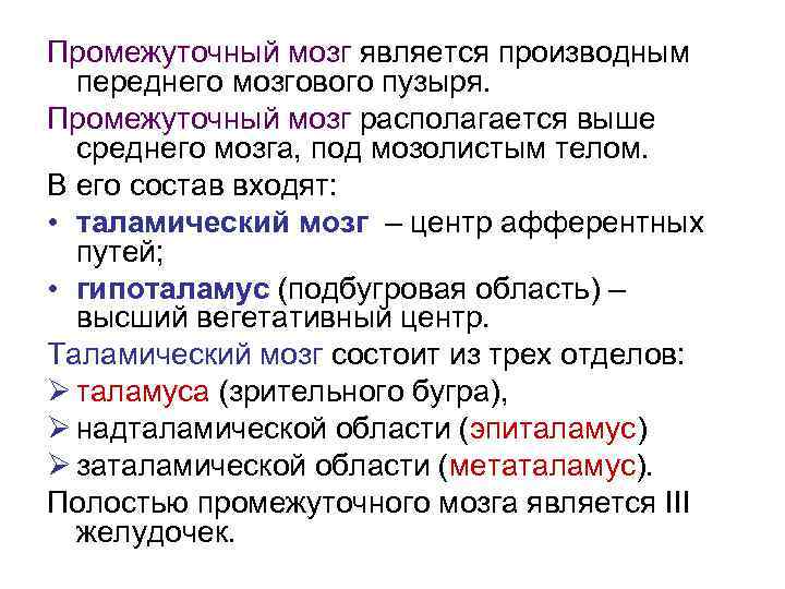 Промежуточный мозг является производным переднего мозгового пузыря. Промежуточный мозг располагается выше среднего мозга, под