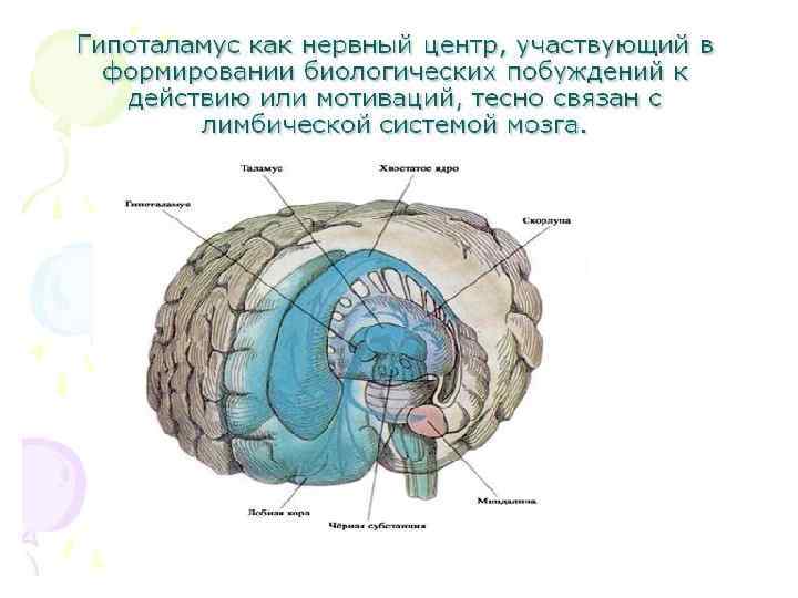 Реле мозга это