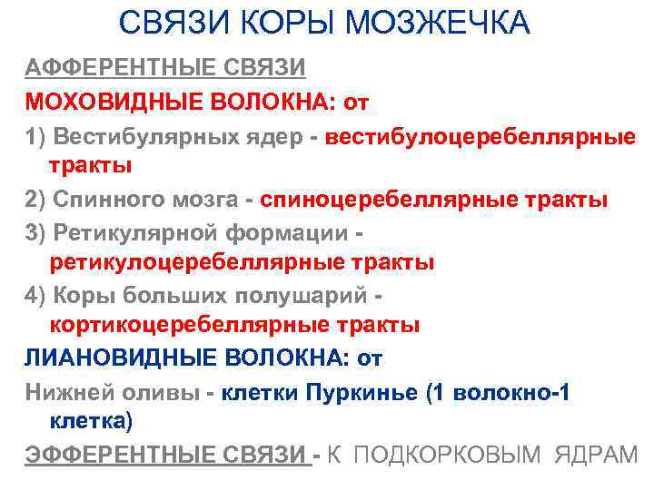 СВЯЗИ КОРЫ МОЗЖЕЧКА АФФЕРЕНТНЫЕ СВЯЗИ МОХОВИДНЫЕ ВОЛОКНА: от 1) Вестибулярных ядер - вестибулоцеребеллярные тракты