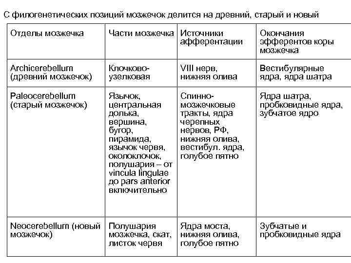 С филогенетических позиций мозжечок делится на древний, старый и новый Отделы мозжечка Части мозжечка