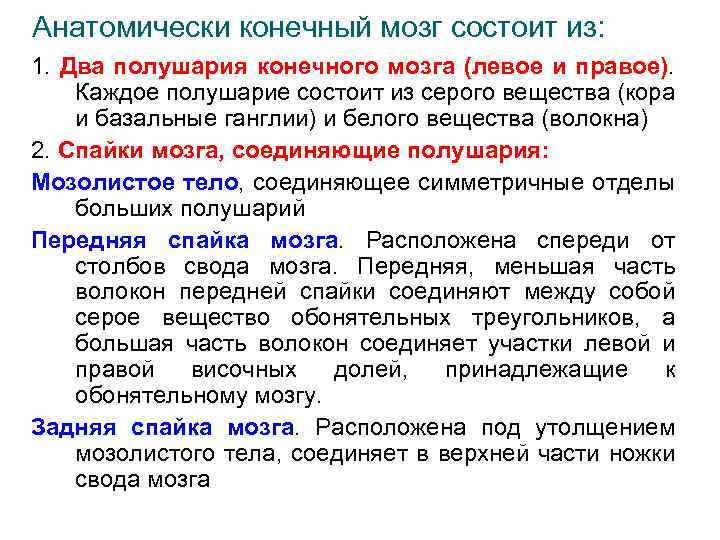 Анатомически конечный мозг состоит из: 1. Два полушария конечного мозга (левое и правое). Каждое