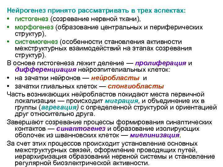 Нейрогенез принято рассматривать в трех аспектах: • гистогенез (созревание нервной ткани), • морфогенез (образование