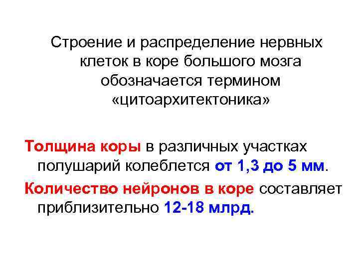 Строение и распределение нервных клеток в коре большого мозга обозначается термином «цитоархитектоника» Толщина коры