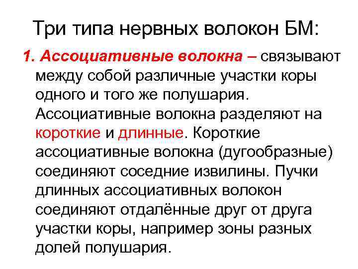 Три типа нервных волокон БМ: 1. Ассоциативные волокна – связывают между собой различные участки