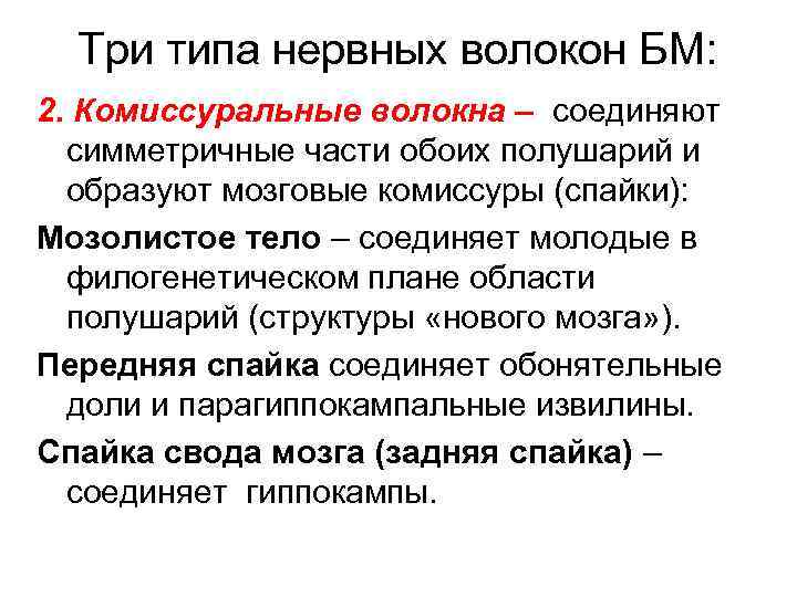 Три типа нервных волокон БМ: 2. Комиссуральные волокна – соединяют симметричные части обоих полушарий