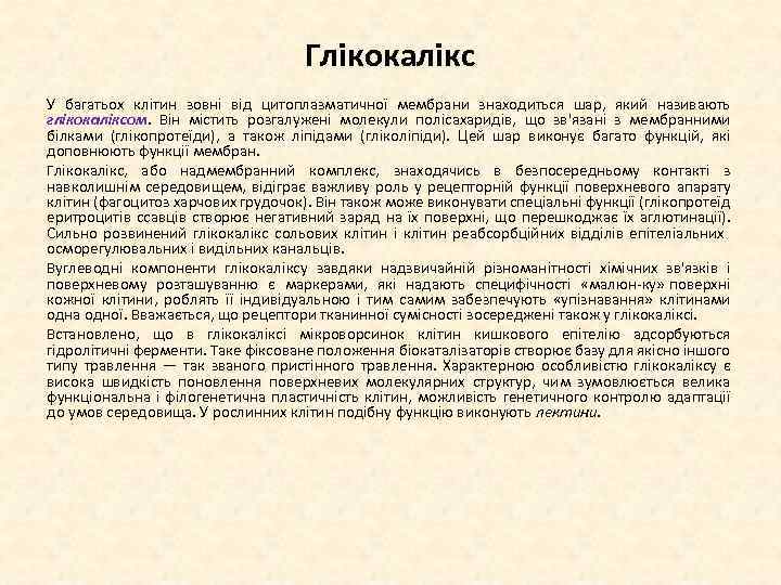 Глікокалікс У багатьох клітин зовні від цитоплазматичної мембрани знаходиться шар, який називають глікокаліксом. Він